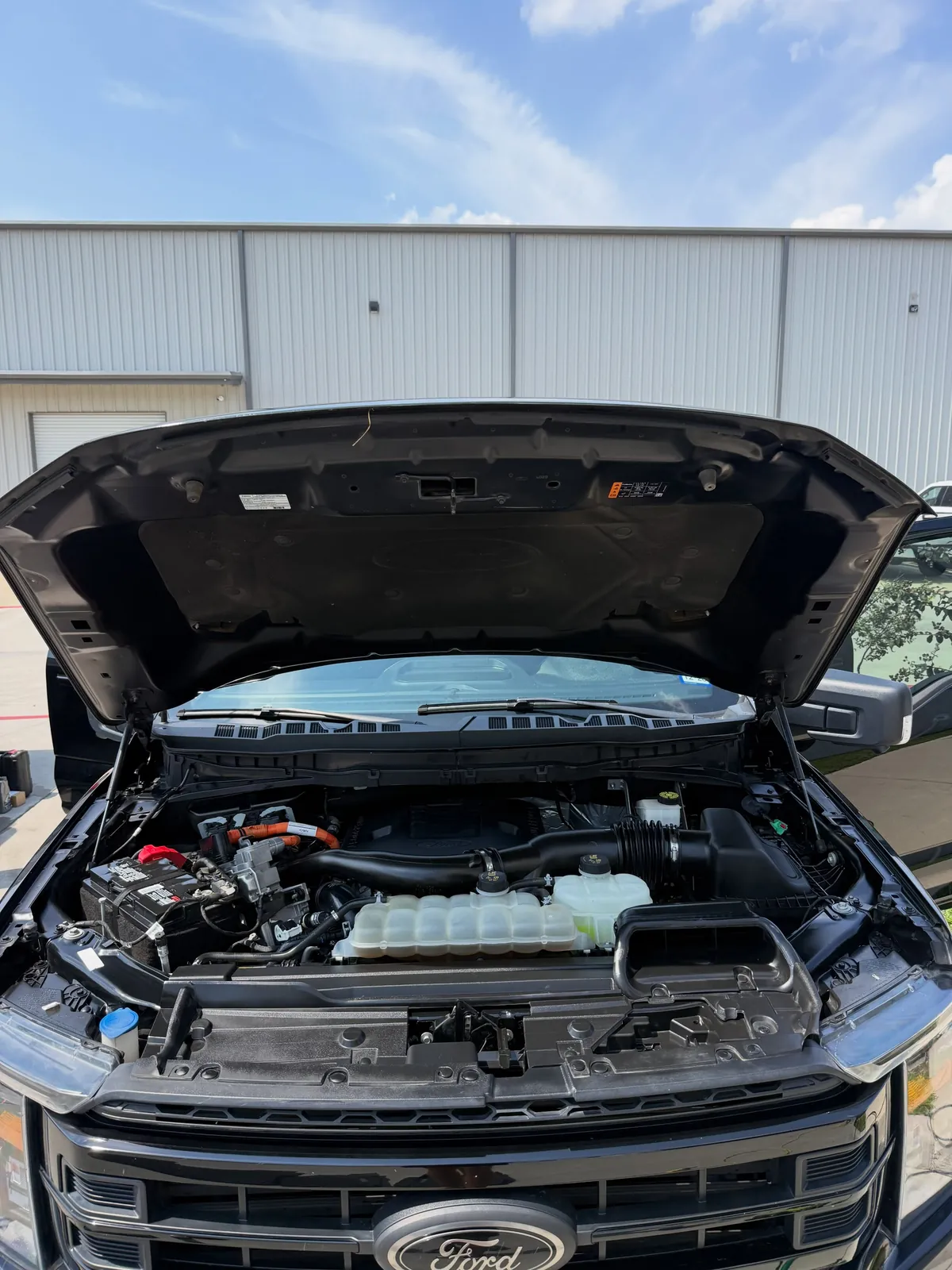 Cleaned engine bay on a Ford truck